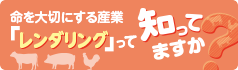 「レンダリング」って知ってますか？デジタルカタログはこちら